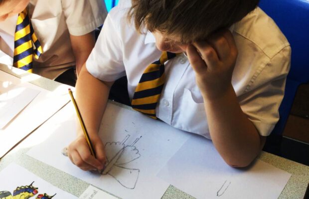 A photo of a child in a classroom drawing a butterfly