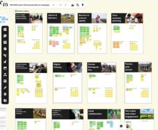 Screenshot of our online evidence discovery workshop